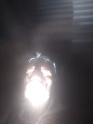 flynhy Picture