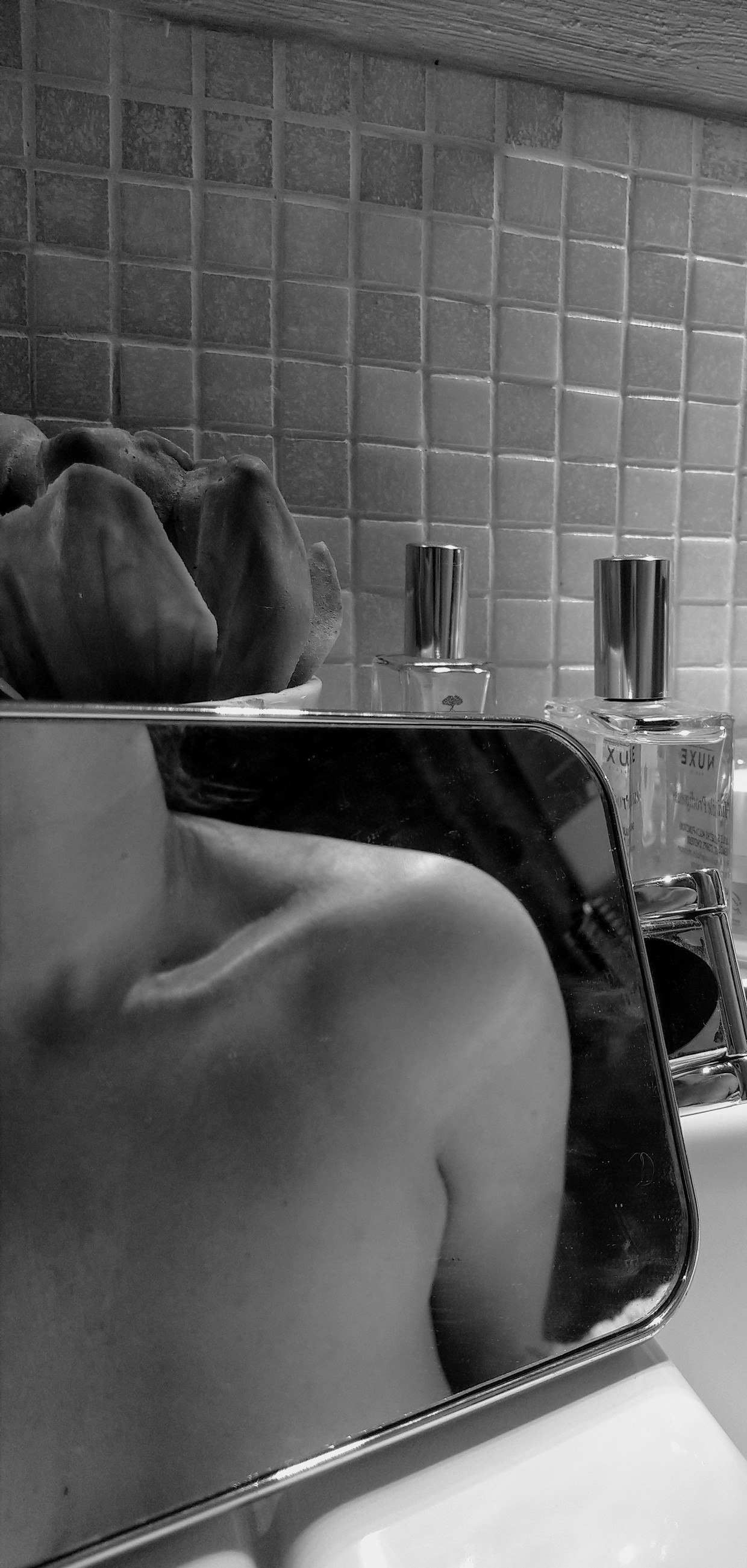 Sexy bits in the mirror