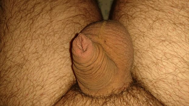 Uncut Shaved Penis 2