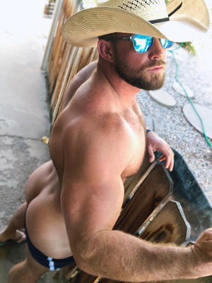 trace trainer hump day