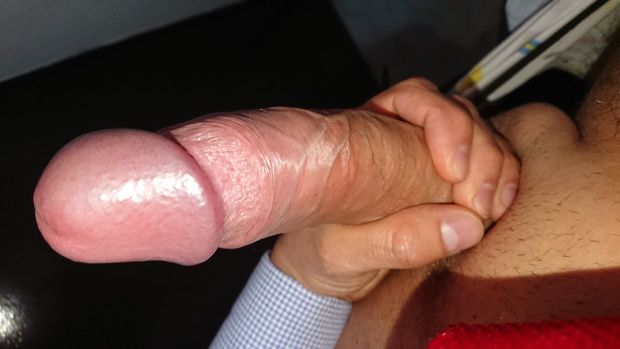 White penis in great erection