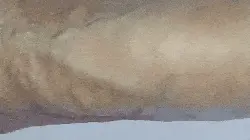 White dick