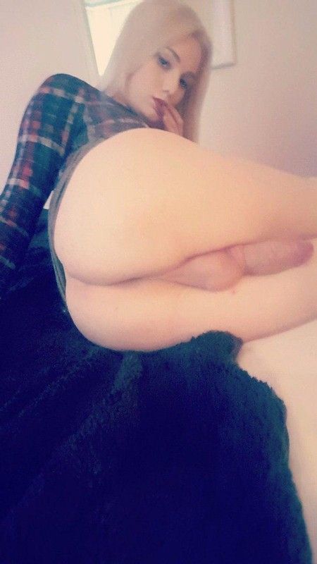 Shemale packs - Amazing TGirls