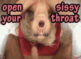 My throat is always open for alpha cock
