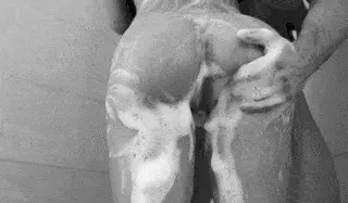 pre-fuck washing