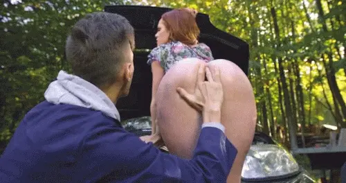 Your Wife and Mechanic