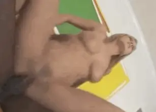 Bree OLSON Reverse Cowgirl (Bree Olsen Gets Fucked Hard By a Black Guy)