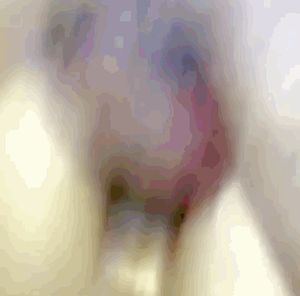 Andreasex enjoying anal sex