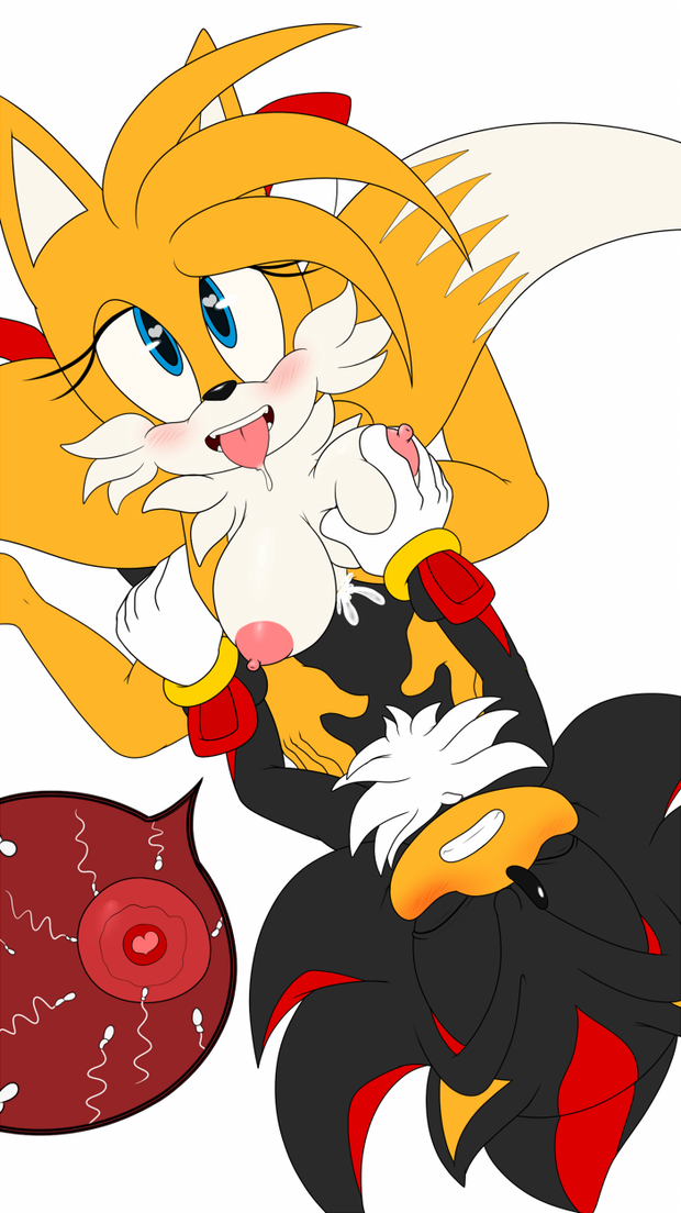 Tailsko