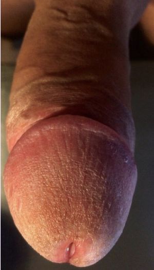 mmm precum