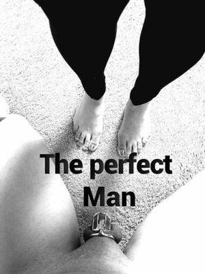 the perfect man