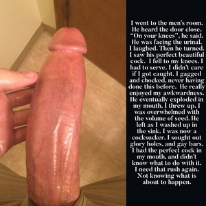 A perfect dick made me a cocksucker.