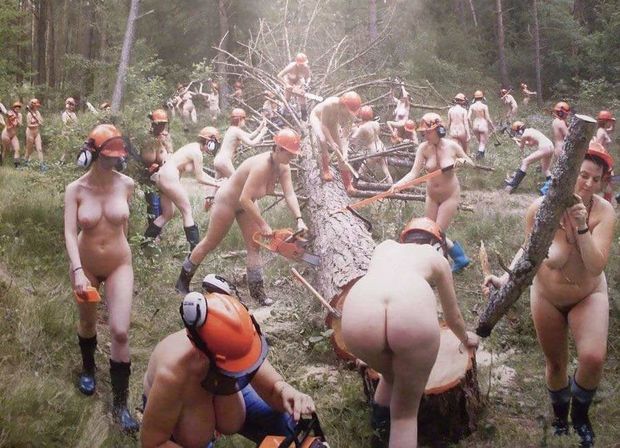 Deforestation is shaving on a larger scale