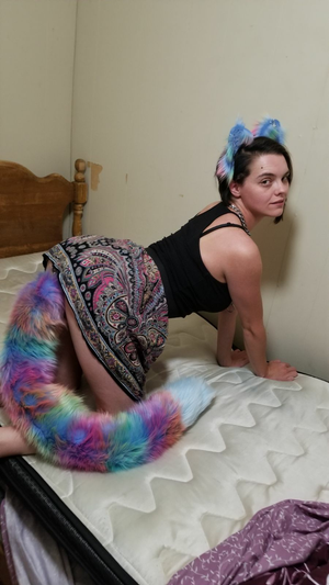 Rainbow kitty has a loong tail