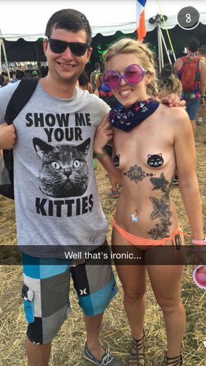 itty bitty kitty commitee