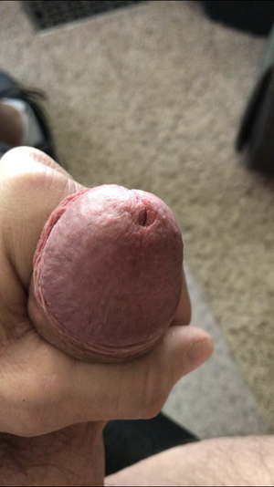 Holding cum back