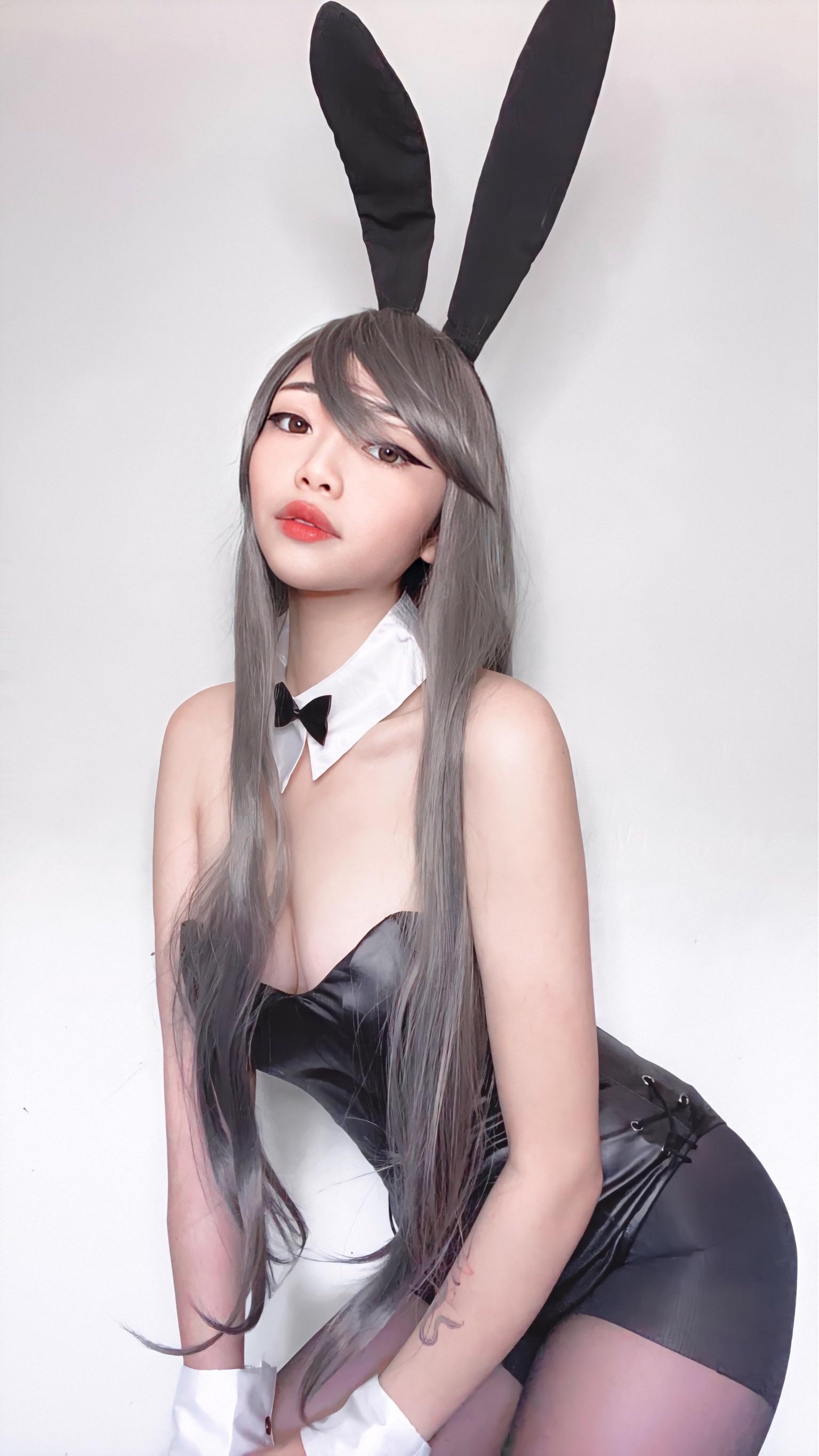 meikoui bunny