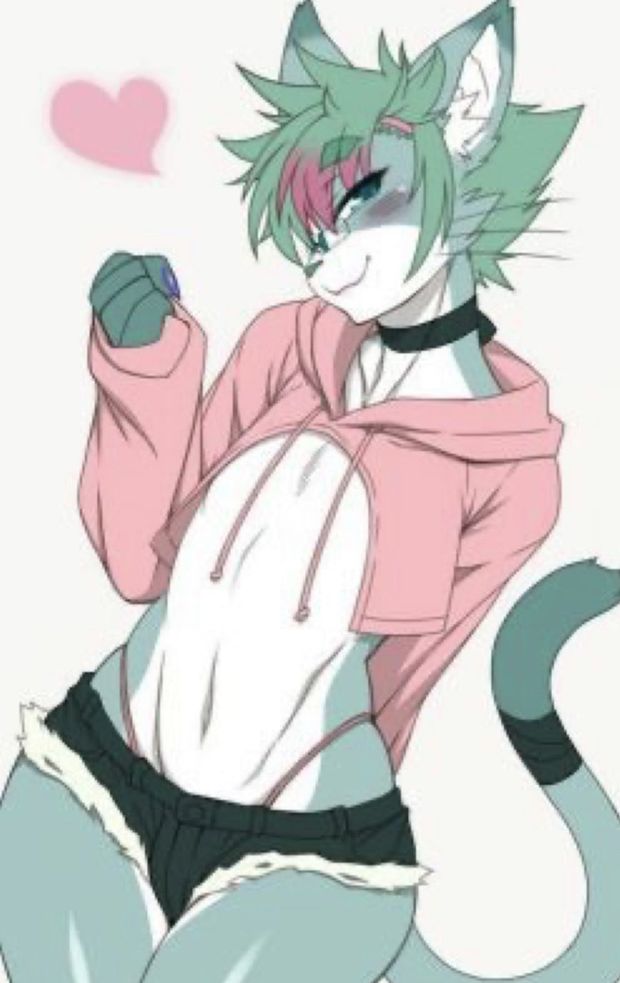 Kitty Kat