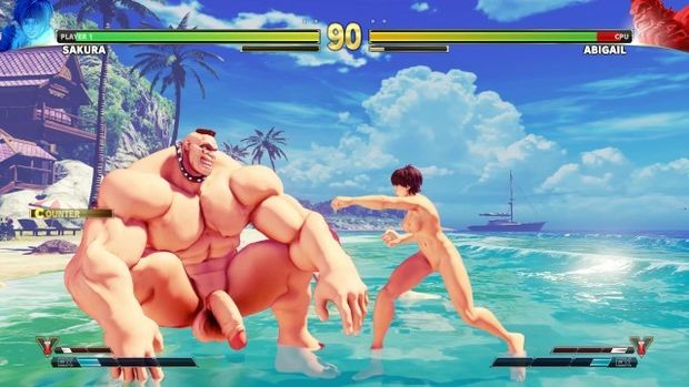 street fighter (sakura)