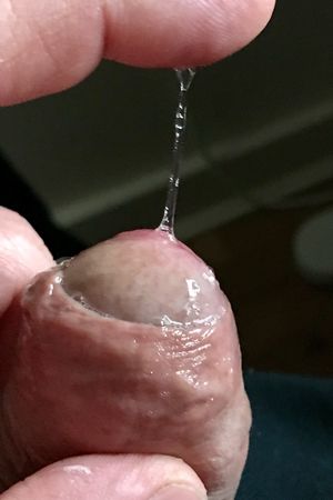 Pre-cum silk