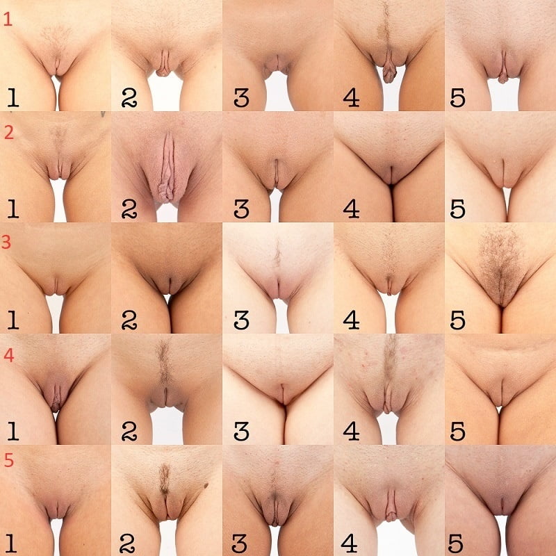 which one do you like?