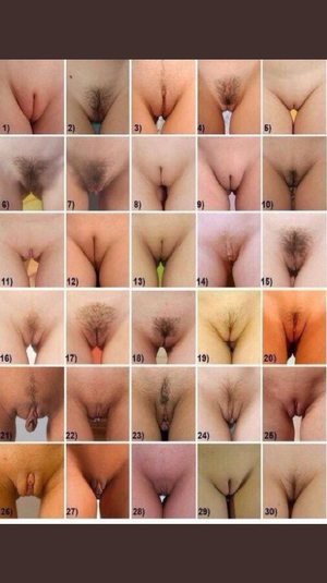 which one do you like?