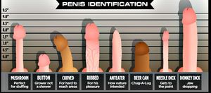 which one do you like?