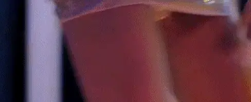 club babes panties