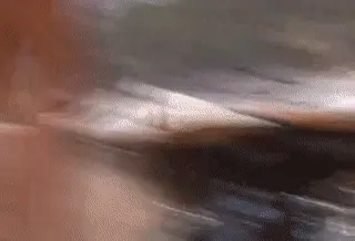beachie bubble butt