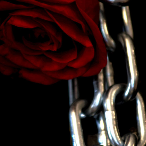 Rose and Chains