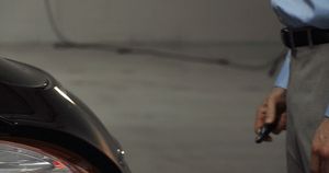 with purchASSES from the store