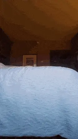 Booty Taps