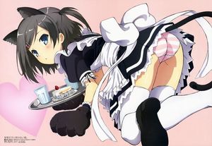 Tsukiko Tsutsukakushi Maid Neko