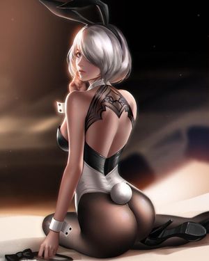 nice 2b ass