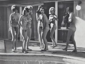 skinny dipping party