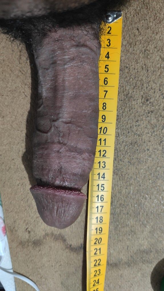 17cm=6.7 inches