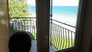 POV Doggy by the beach