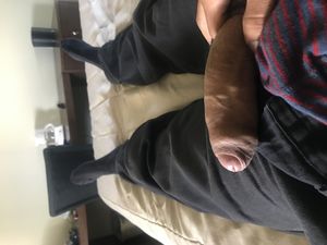Xlarge Picture