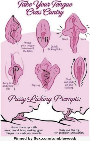 How to lick Pussy