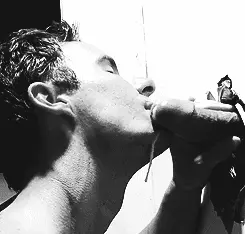 Gloryhole