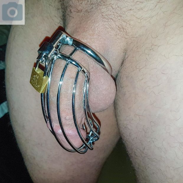Chastity