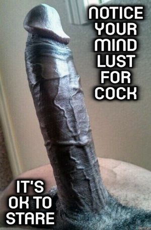 Hot, Sexy, Stiff, Shaved, Cock and Balls