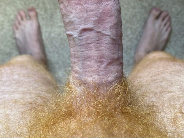 Ginger Cock..