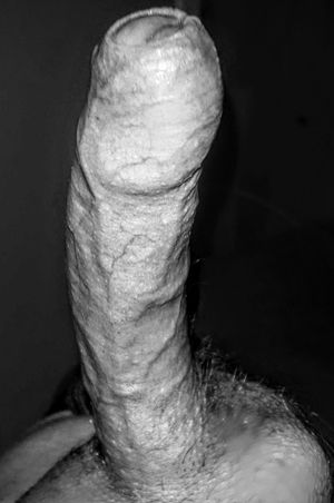 My big superveiny cock