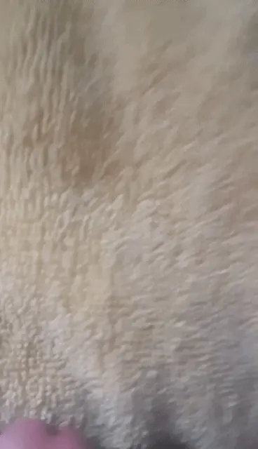 Small cum spurts