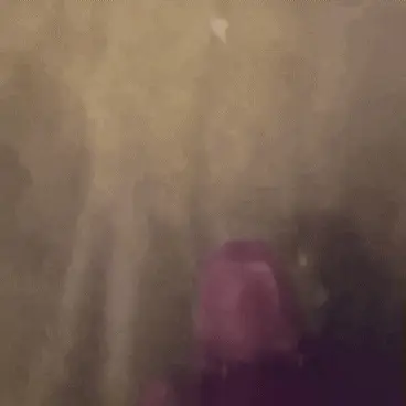 Jerking my cock till I cum