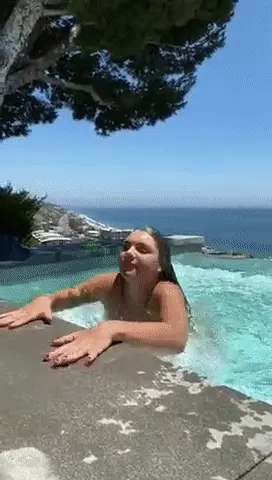 wet dog