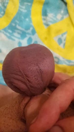 Slave shows off banded balls castration