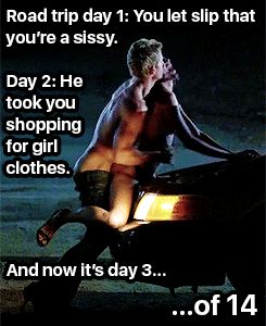 Just two buds on a road trip.