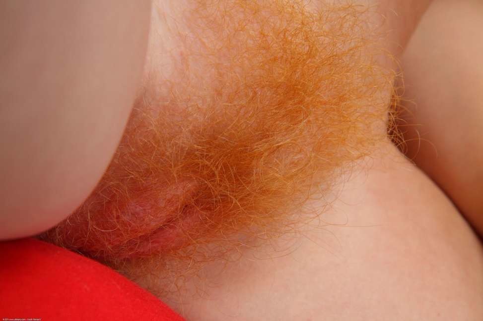 Belle chatte rousse poilue